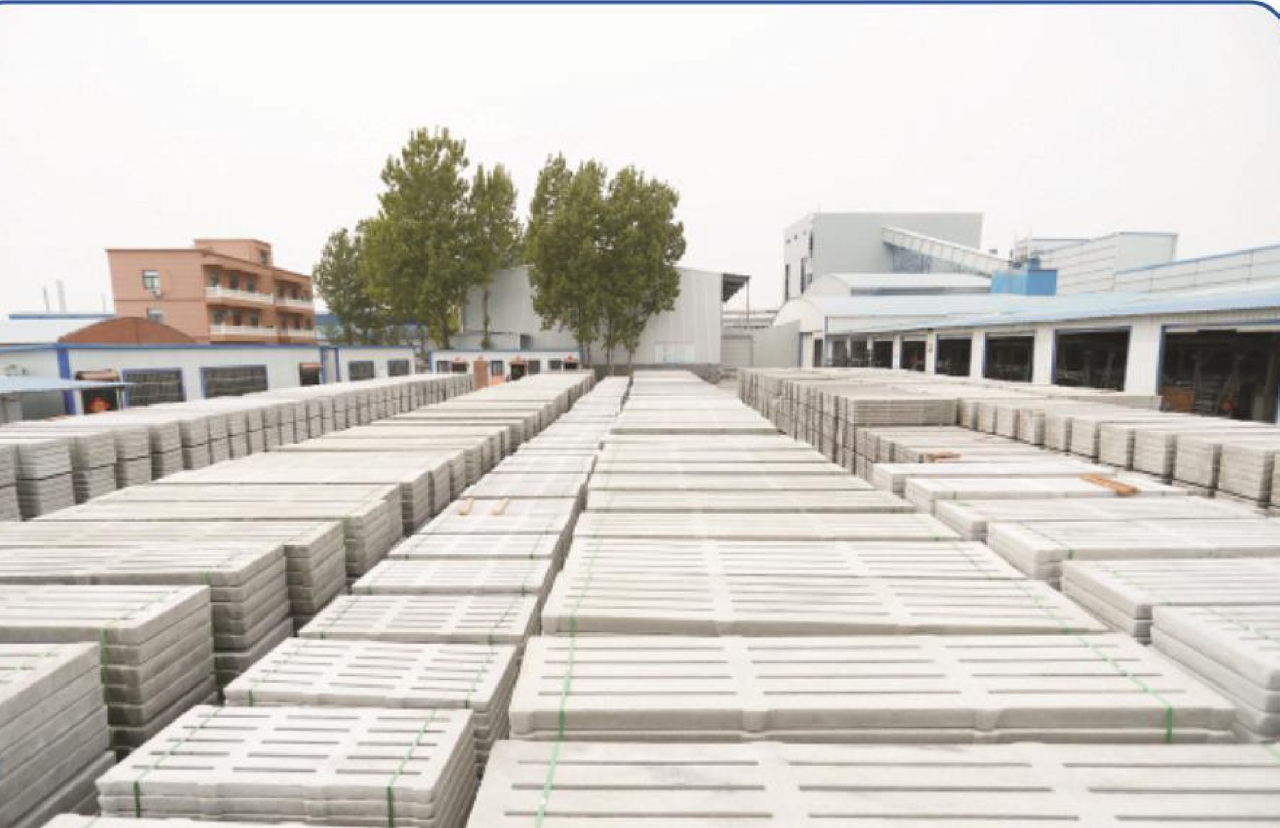 Rows of concrete slats curing in the yard